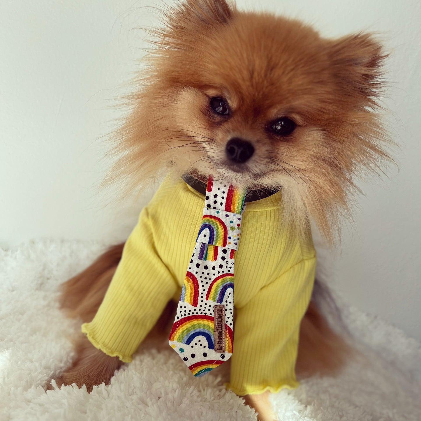 Pudding - Yellow Frill Top